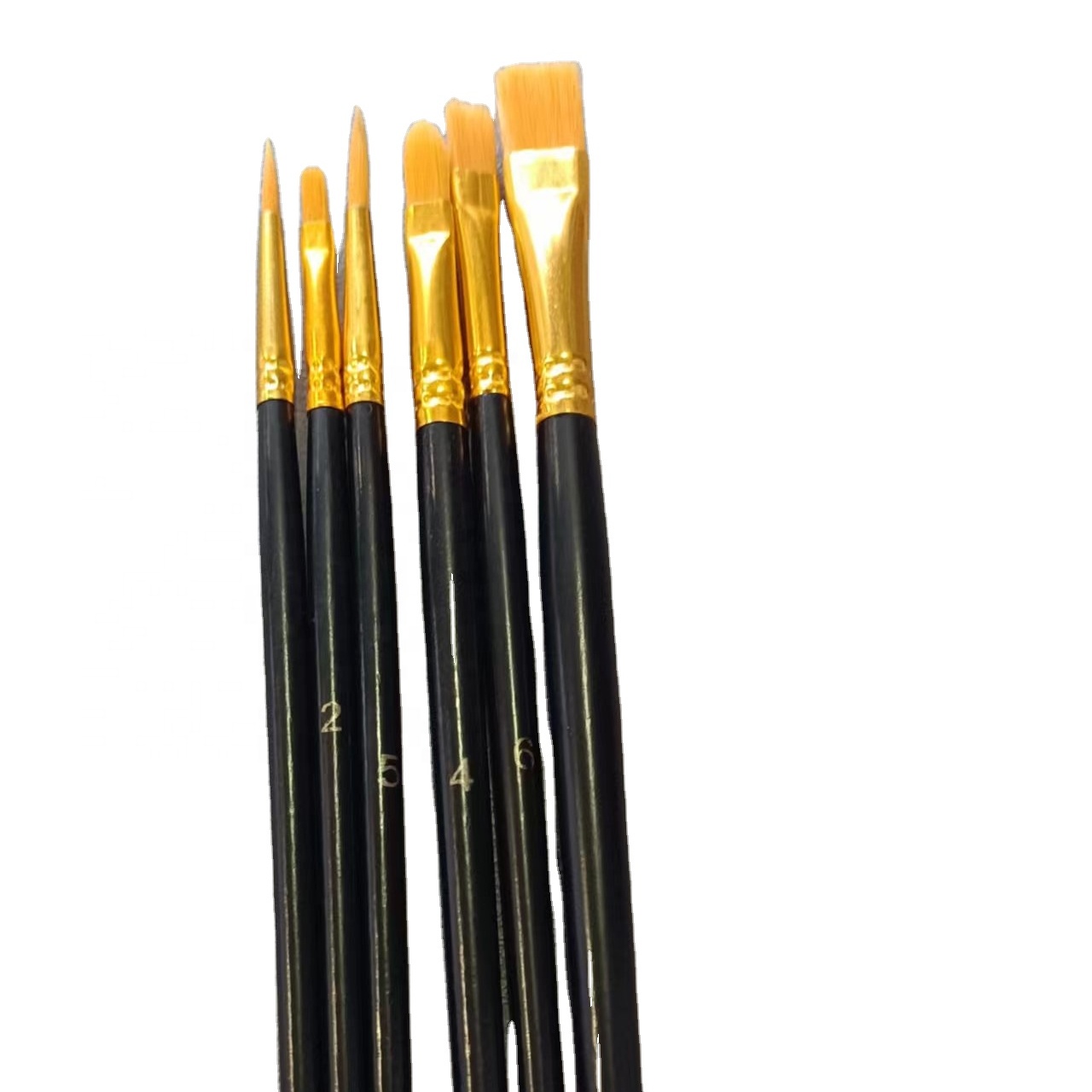 6 Pcs Paint Brushes ຕັ້ງແປງສີນ້ໍາ